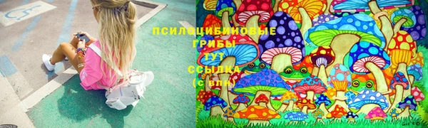 mdpv Братск