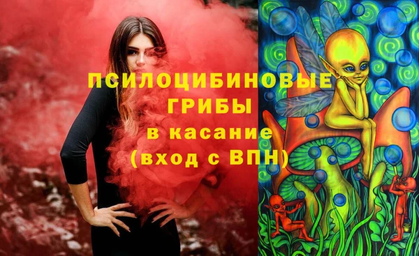 амф Липки
