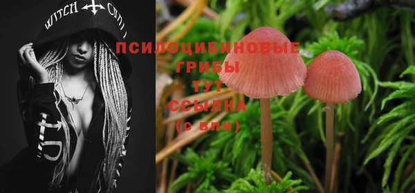 MDMA Великий Новгород
