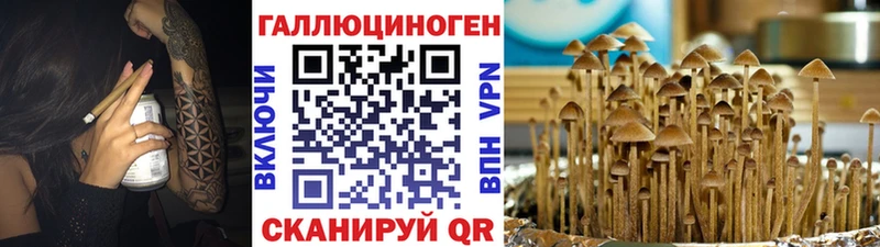 Галлюциногенные грибы GOLDEN TEACHER  МЕГА зеркало  Майский  как найти наркотики 