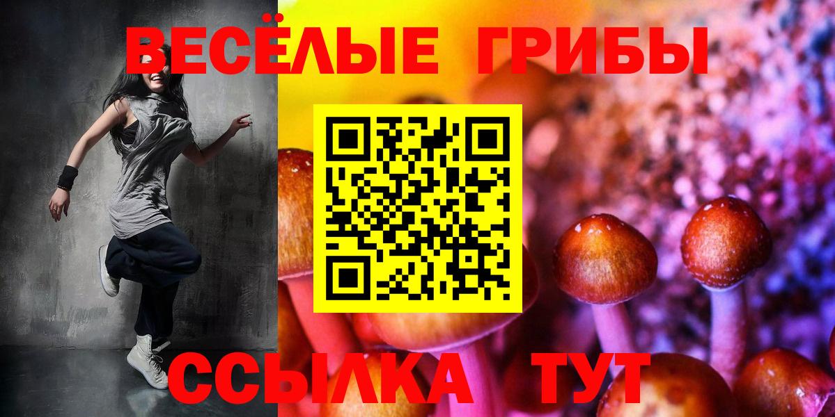 Псилоцибиновые грибы Cubensis Майский