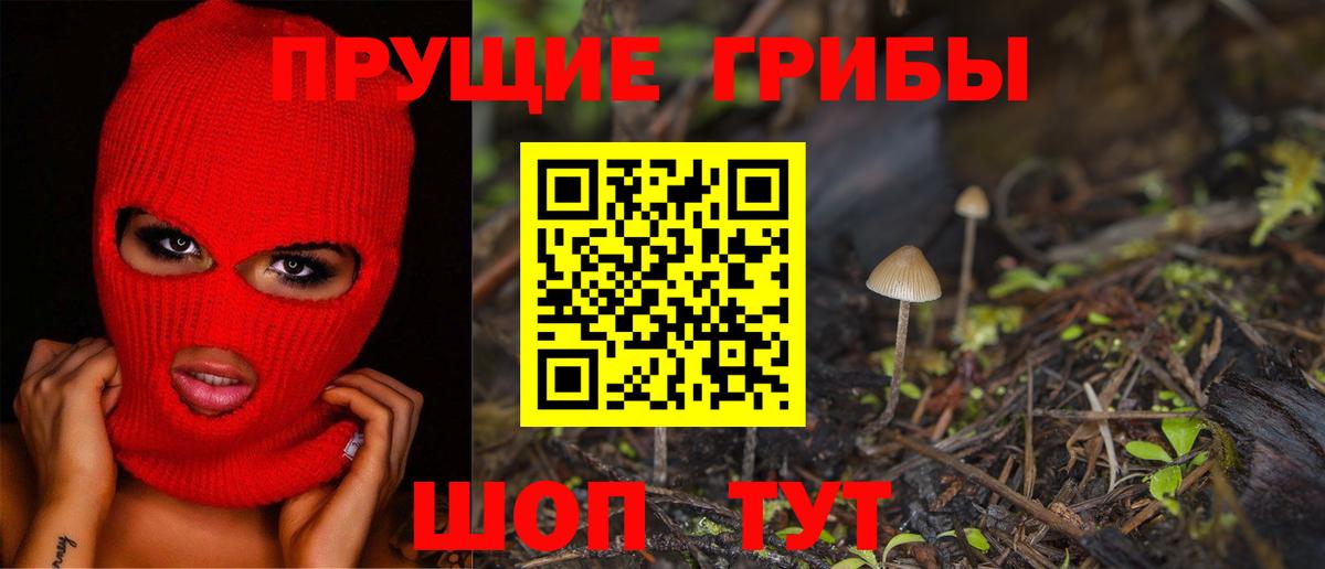 Псилоцибиновые грибы мухоморы  как найти наркотики  Майский  Вход с VPN 