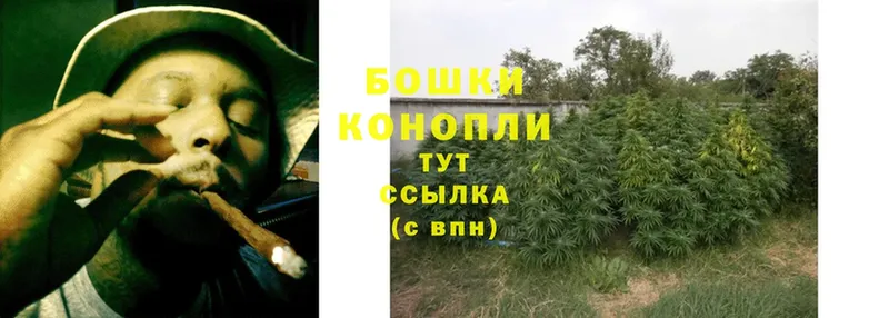 Канабис Bruce Banner  как найти закладки  Майский 